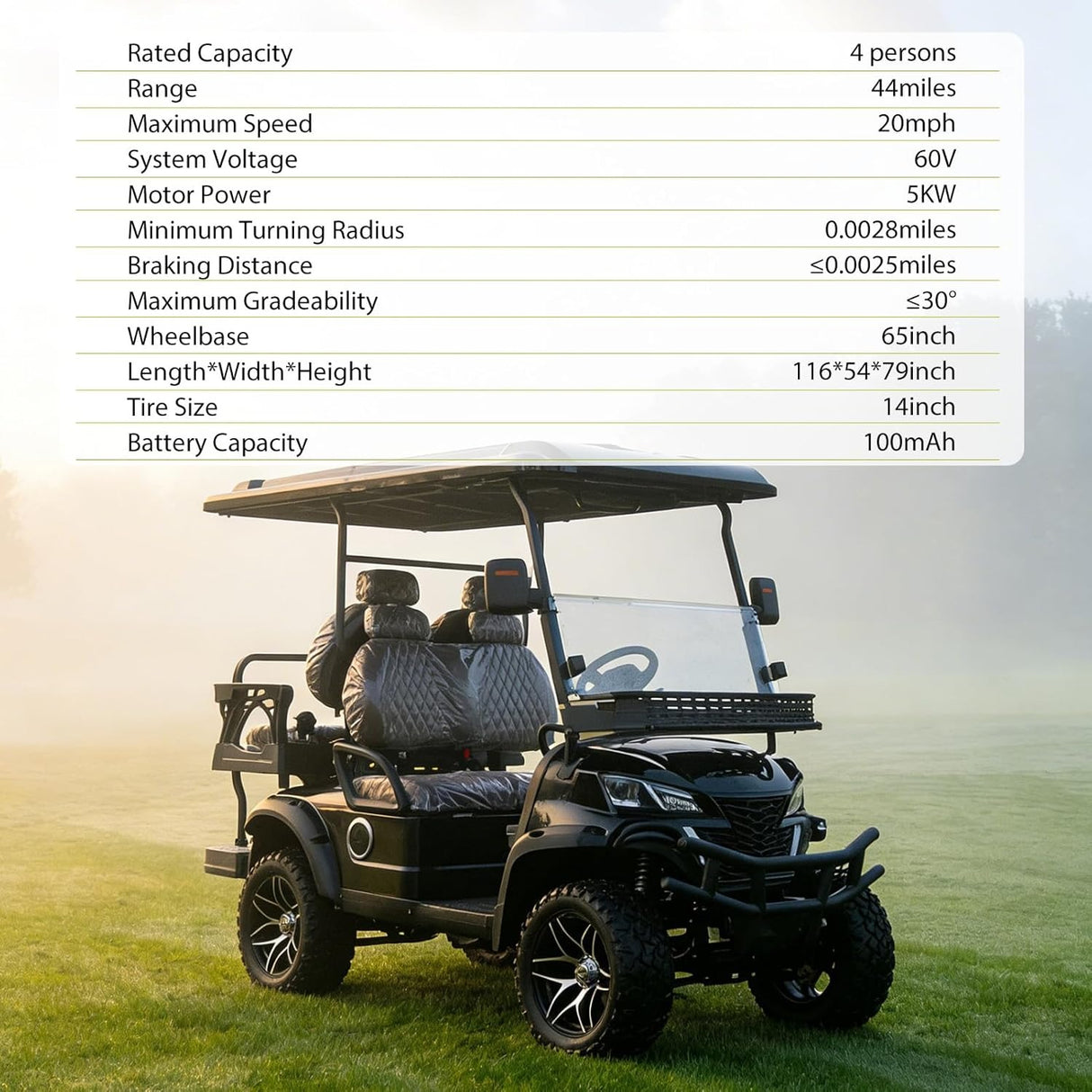 MMS 4P 60V Electric Golf Cart with 5KW Motor, 20 MPH Top Speed, 44 Miles Range, Ages 16 and Up, Advanced Suspension, Rear &Front Storage, LCD Display